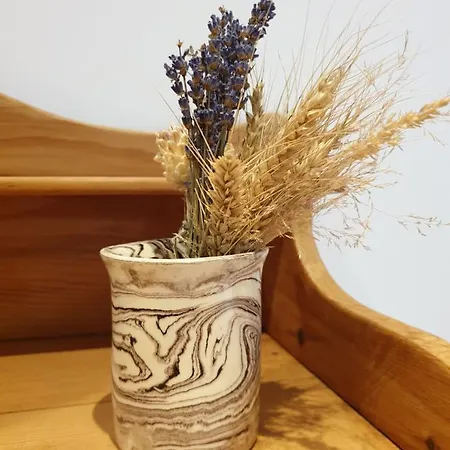 Mazet De Charme Sur Les Hauteurs De Hébergement de vacances