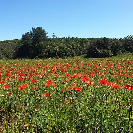 Gite De Charme Avec Jacuzzi En Garrigue